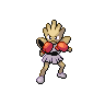 Taekwondo Hitmonchan