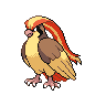 Furious Pidgeot
